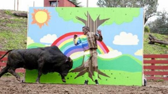 Photo du film Jackass 3