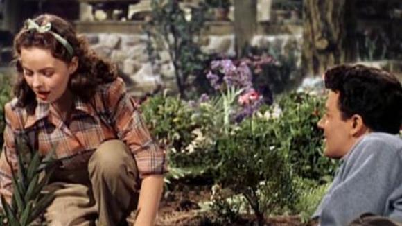 Photo du film Leave Her To Heaven