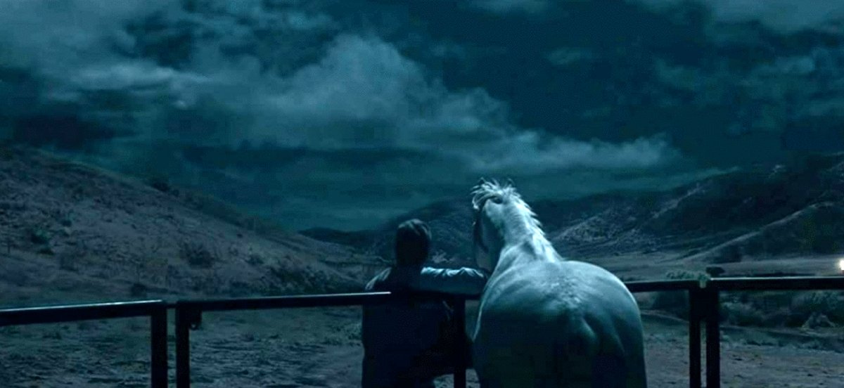 Photo from the movie Ben non