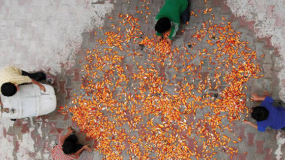 Photo du film The Song of Sparrows [2008]