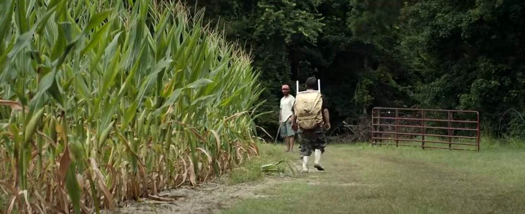 Photo du film Le Faucon au beurre d'arachide