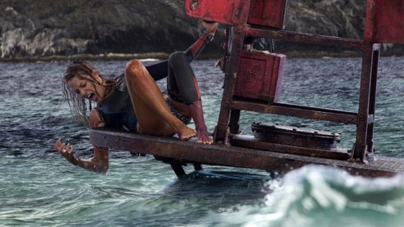 Photo from the movie The Shallows