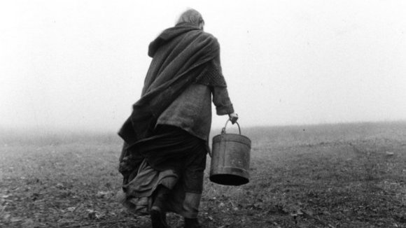 Photo du film The Turin Horse
