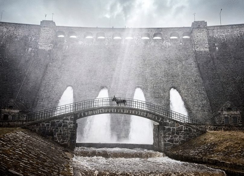 Photo from the movie EO