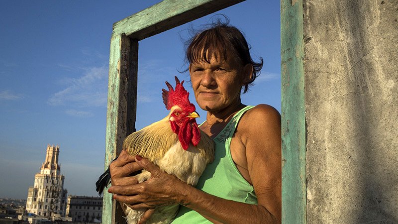 Photo du film Havana, from on High