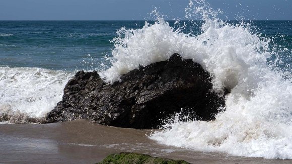 Photo from the movie Love Thy Nature