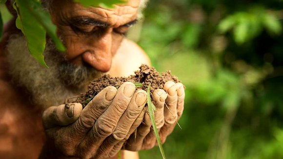 Photo from the movie Love Thy Nature