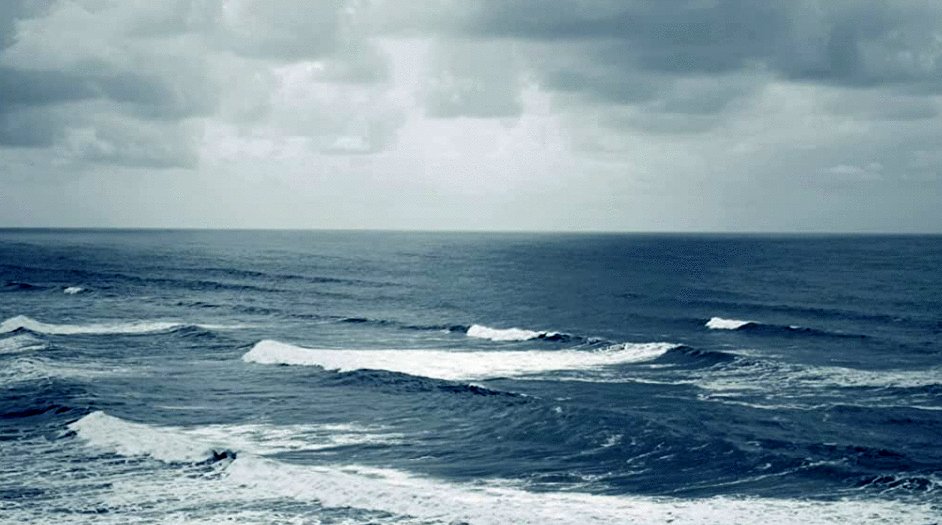 Photo from the movie Malni-Towards the Ocean, Towards the Shore [2020]
