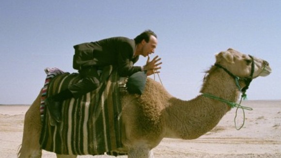 Photo du film Le Tigre et la neige