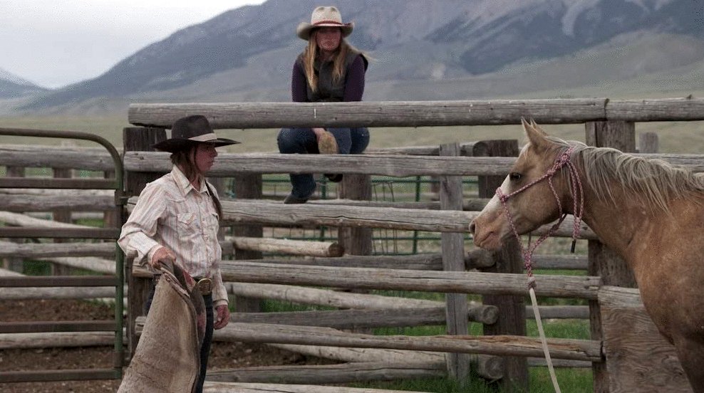 Photo du film Bitterbrush [2021]