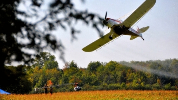 Photo du film L'incroyable voyage des papillons