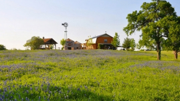 Photo du film L'incroyable voyage des papillons