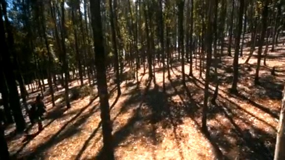 Photo from the movie Naaigal Jaakirathai [2014]