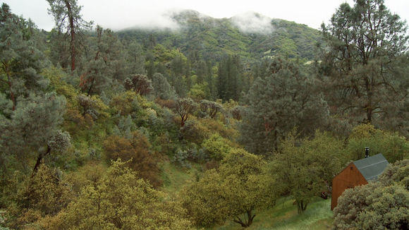 Photo from the movie Stemple Pass [2012]