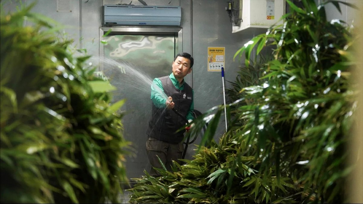 Photo du film My Dearest Fu Bao [2024]