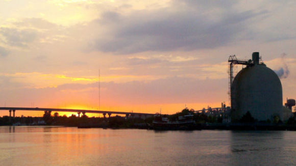 Photo du film The Bay