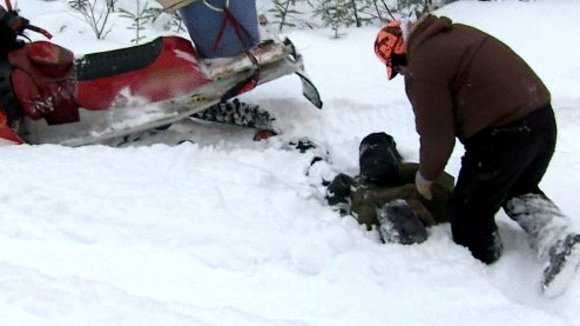 Photo from the movie Mountain Men