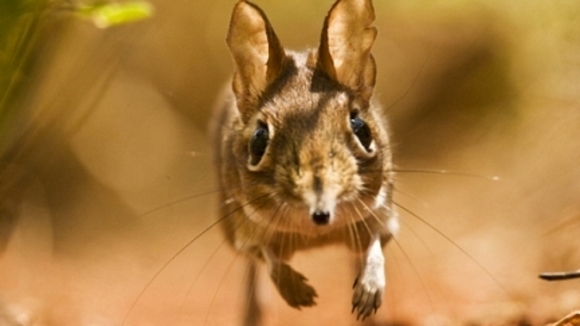 Photo from the movie One Life