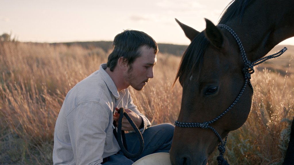 Photo from the movie The Rider