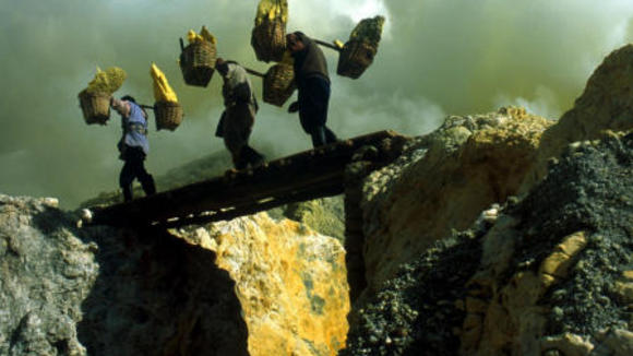 Photo from the movie Workingman's Death [2005]