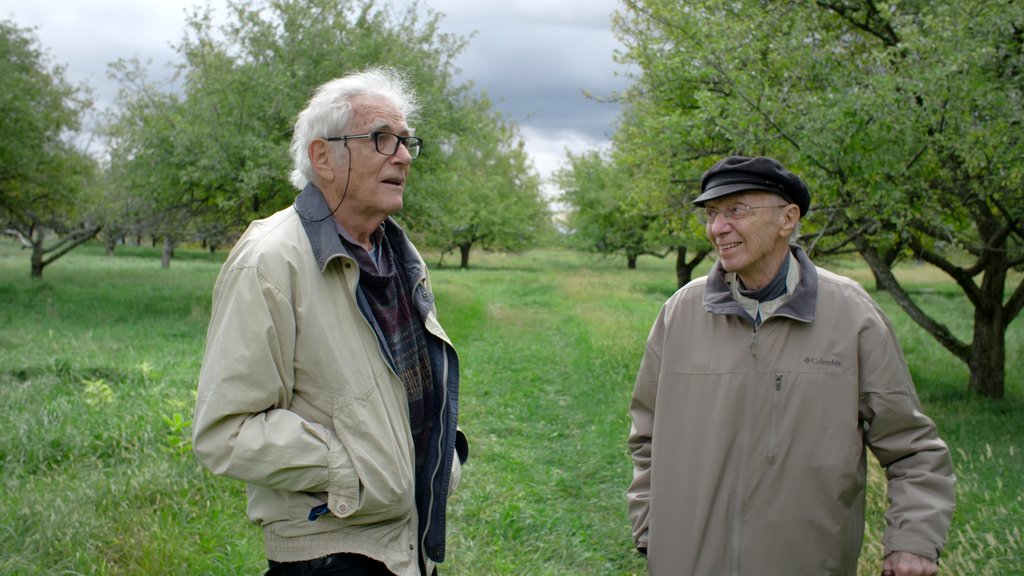 Photo from the movie Old Age and Hope