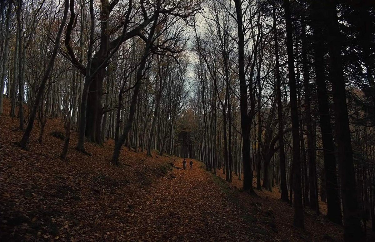 Photo du film Gretel & Hansel [2020]