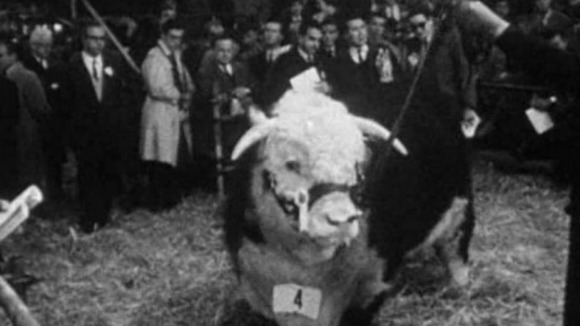 Photo from the movie L'Heure des Brasiers [1968]