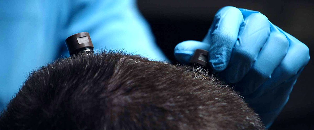 Photo du film I Am Human