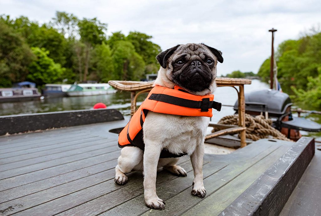 Photo from the movie Patrick