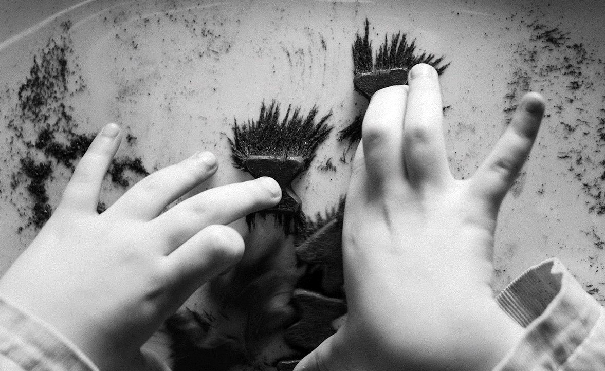 Photo du film Iron Butterflies [2023]