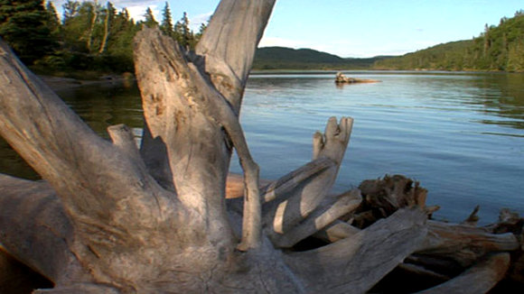 Photo du film Gifts from the Elders [2013]