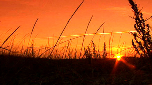 Photo du film Gifts from the Elders [2013]