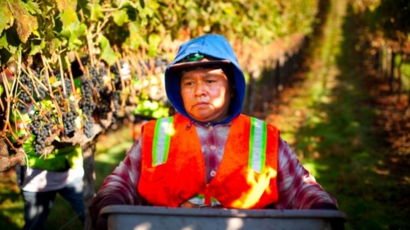 Photo du film Harvest [2012]