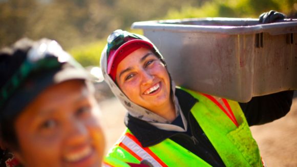 Photo du film Harvest [2012]