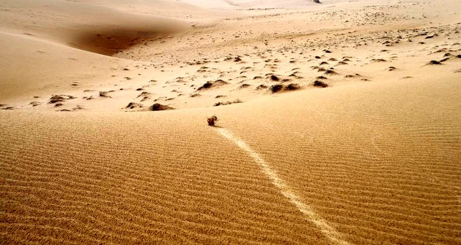 Photo from the movie Hurricane