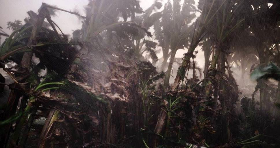 Photo from the movie Hurricane