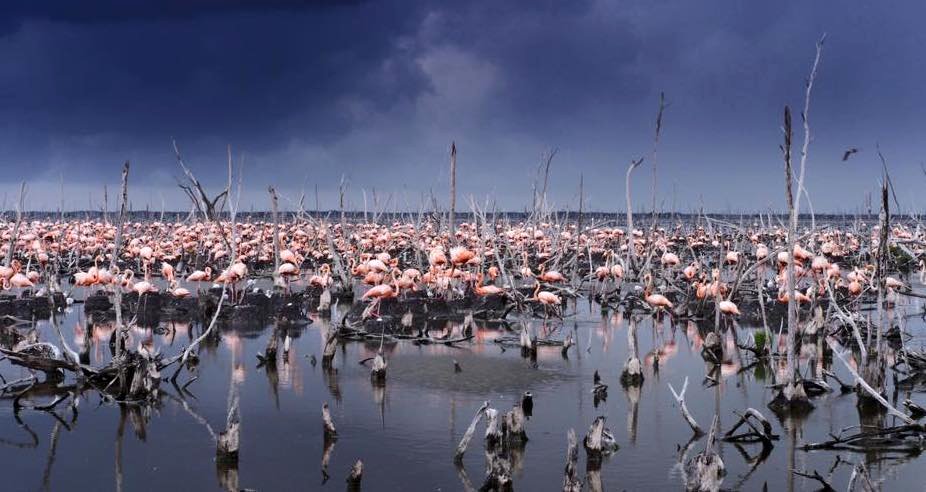 Photo from the movie Hurricane