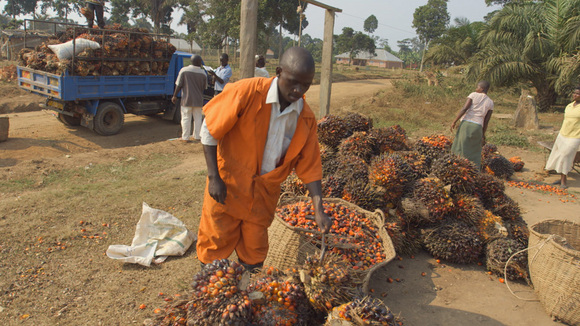 Photo from the movie Sans terre, c'est la faim
