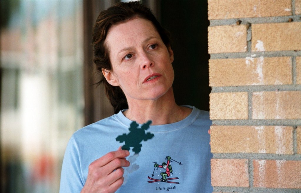 Photo du film Plaisirs glacés