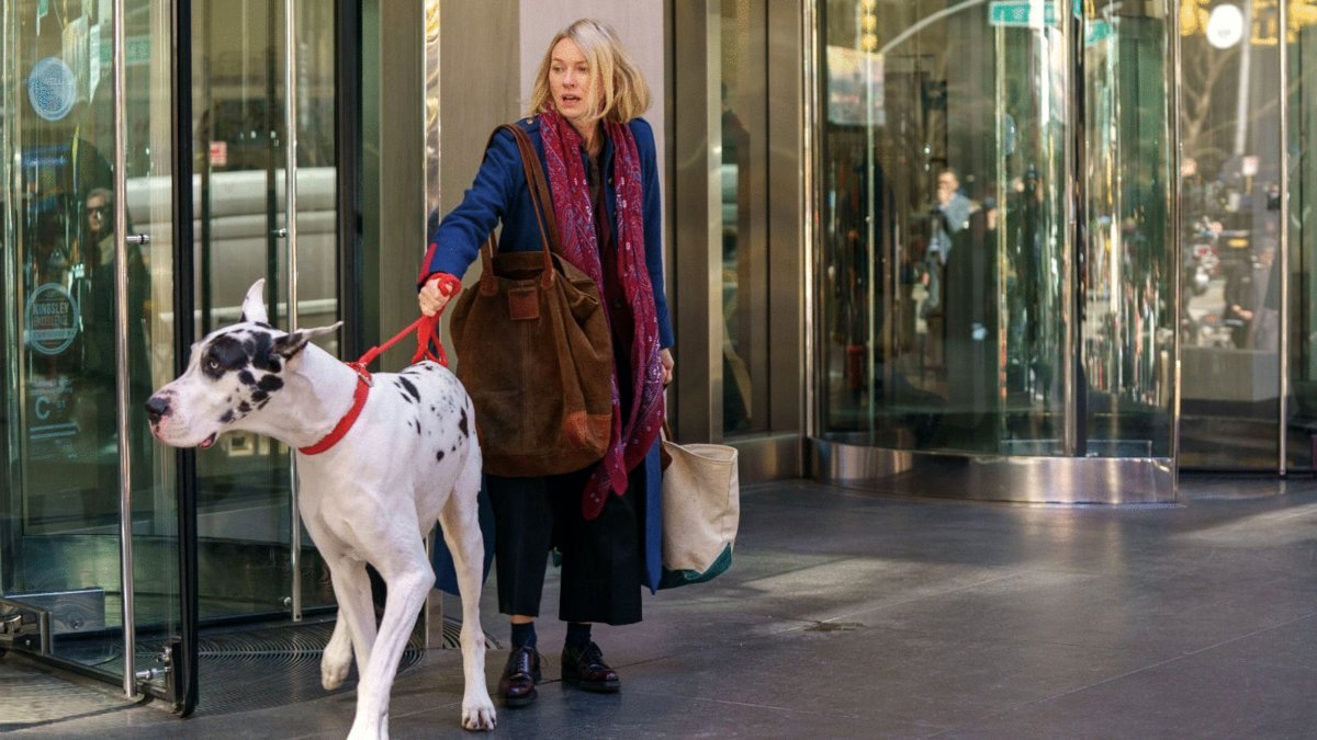 Photo du film The Friend