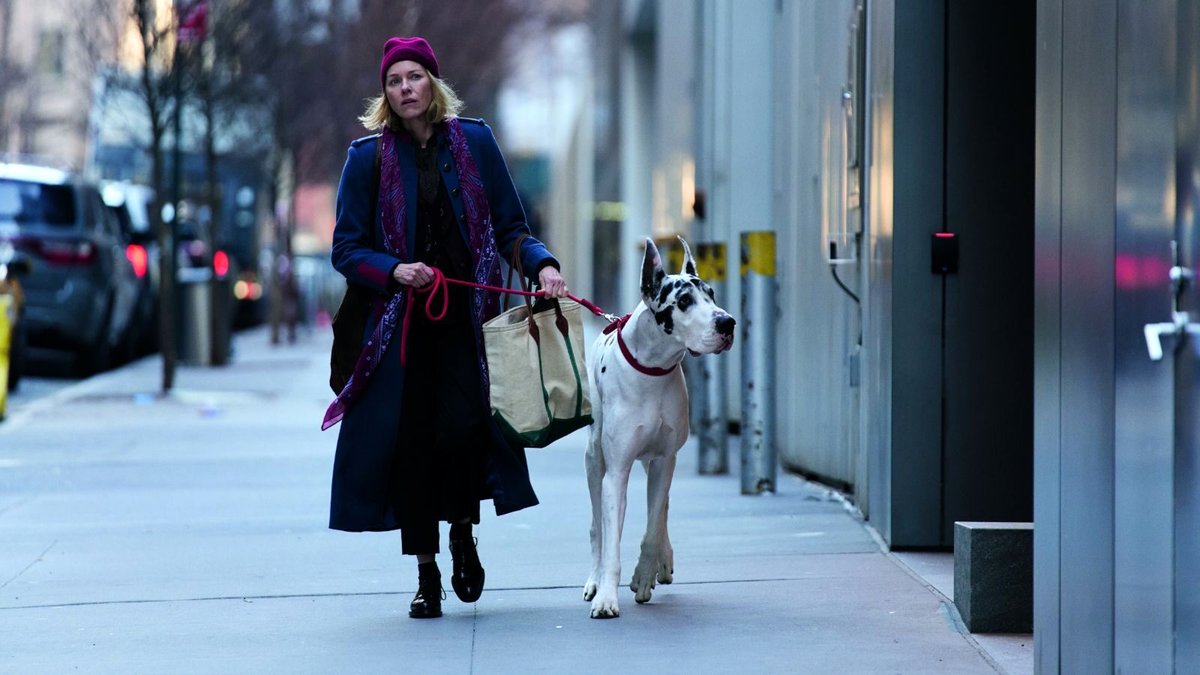 Photo du film The Friend