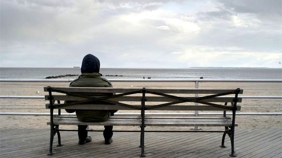 Photo du film Under the Starry Sky [2013]