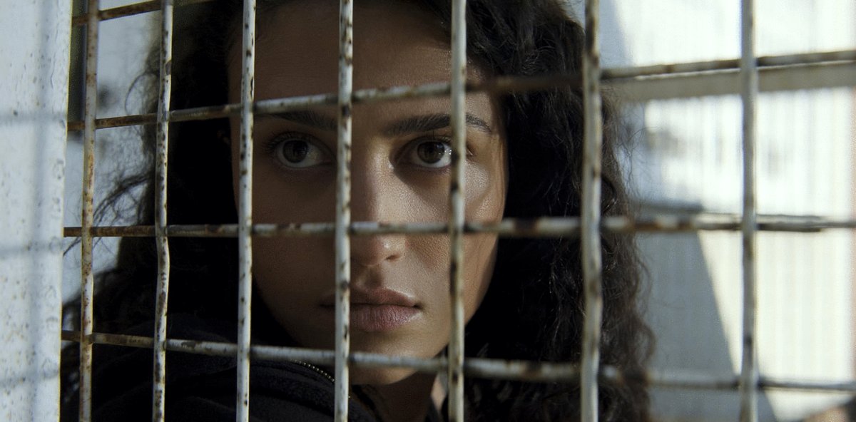 Photo du film The Terminal List: Dark Wolf [2025]