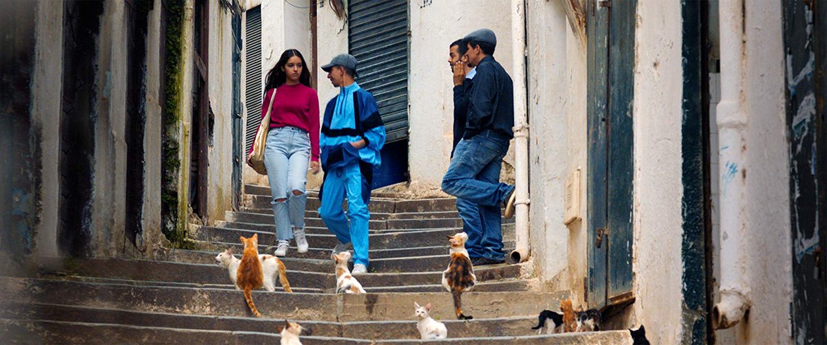 Photo du film Papicha [2019]