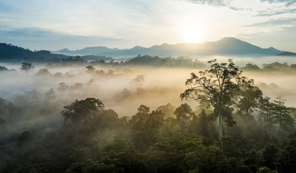 Photo from the movie Eden: Untamed Planet