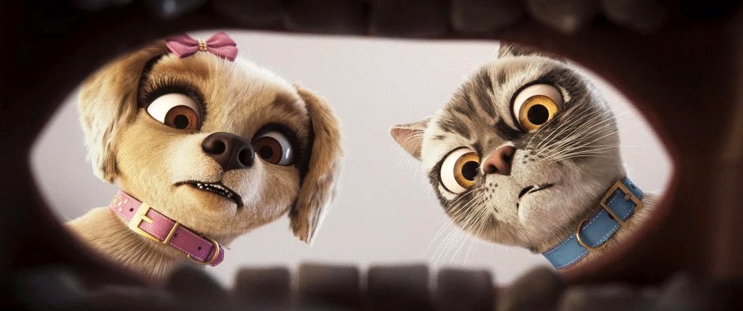 Photo from the movie Gracie and Pedro: Pets to the Rescue