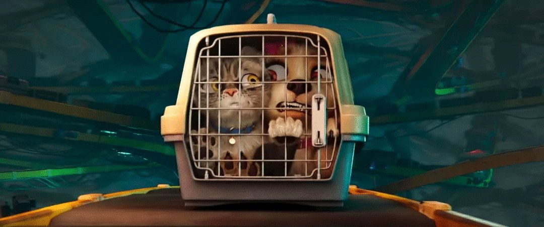 Photo from the movie Gracie and Pedro: Pets to the Rescue