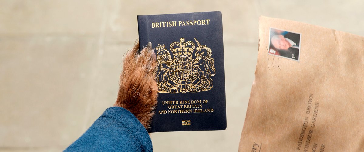 Photo from the movie Paddington in Peru [2024]