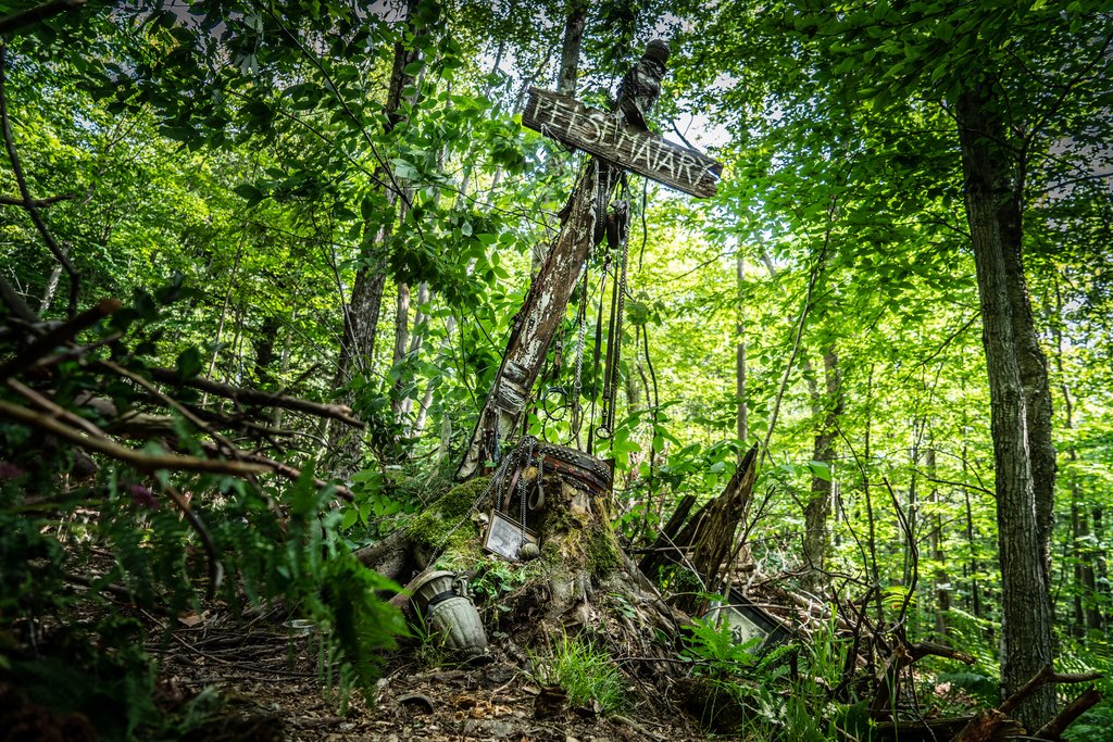 Photo from the movie Cimetière vivant