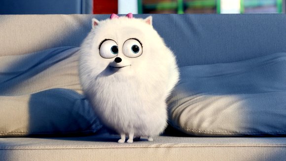 Photo from the movie The Secret Life of Pets